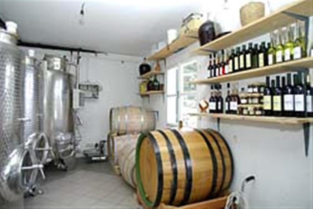 Winery Bacic Blato (Korcula)