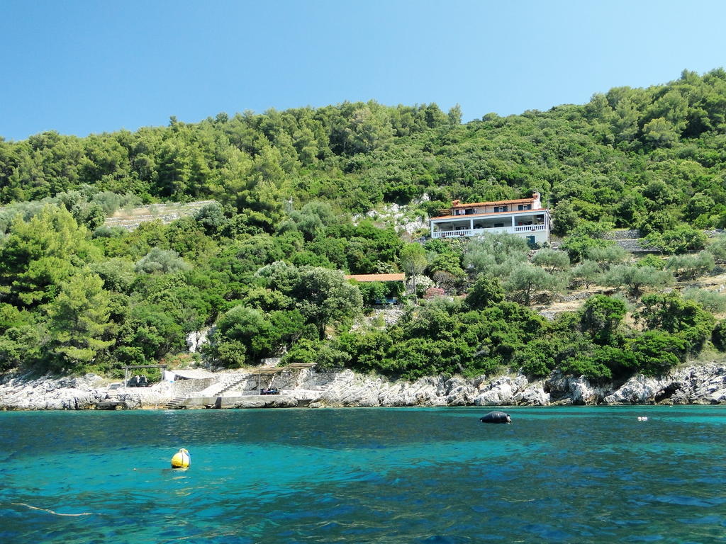 Winery Bacic Blato (Korcula)