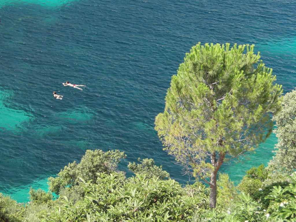 Apartman Winery Bacic Blato (Korcula)